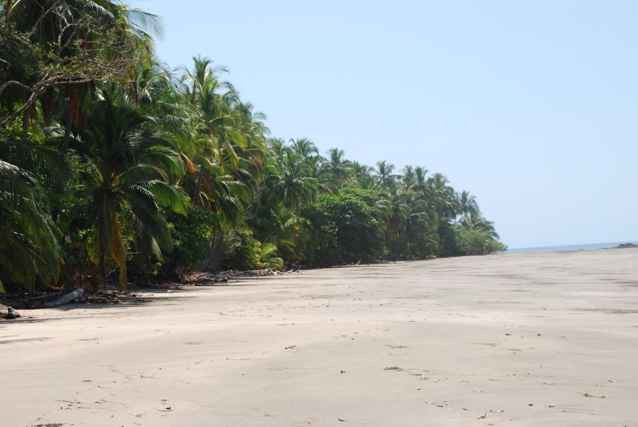 El nido del tucán Villa Torio Esterno foto