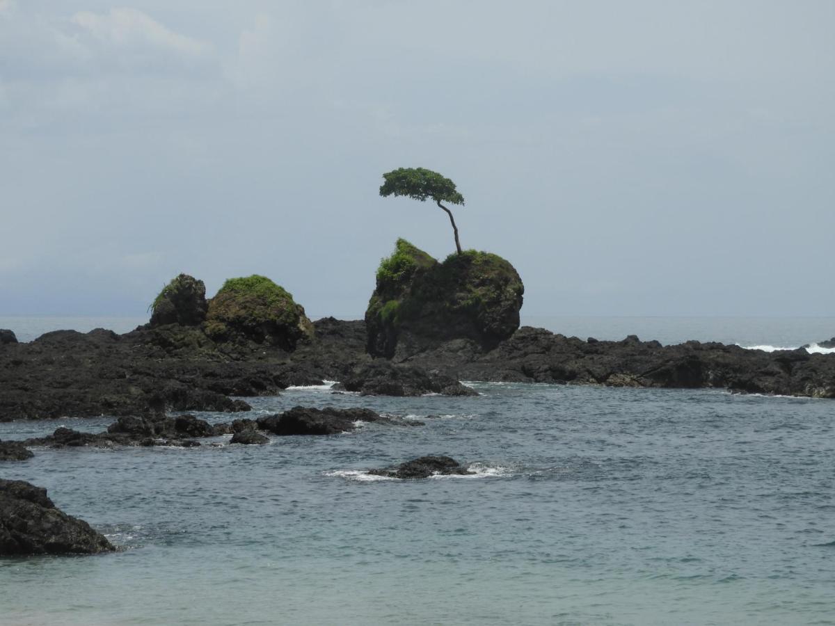 El nido del tucán Villa Torio Esterno foto